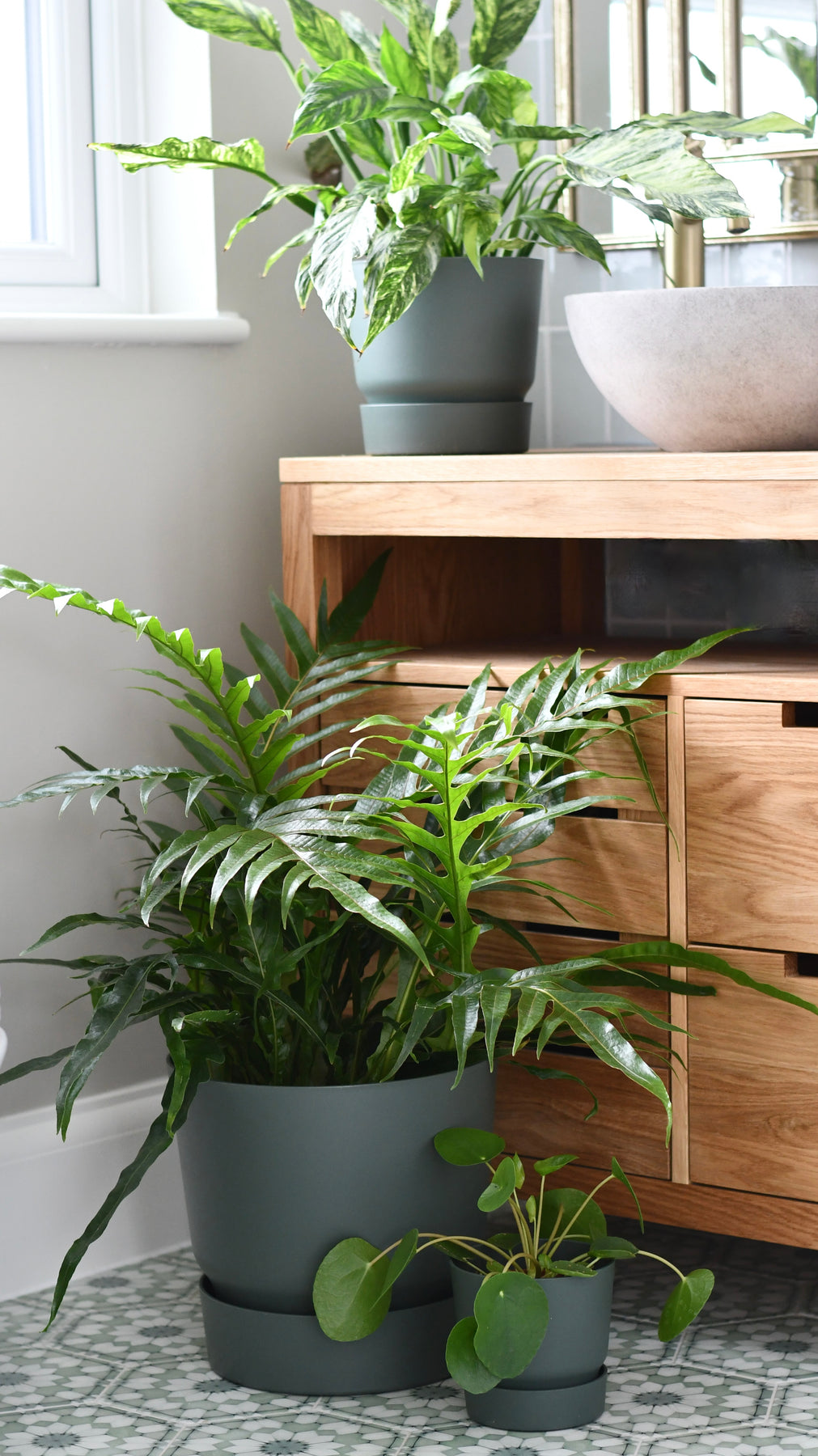 How to Pot a Plant Indoors: Easy Steps for Thriving Greens