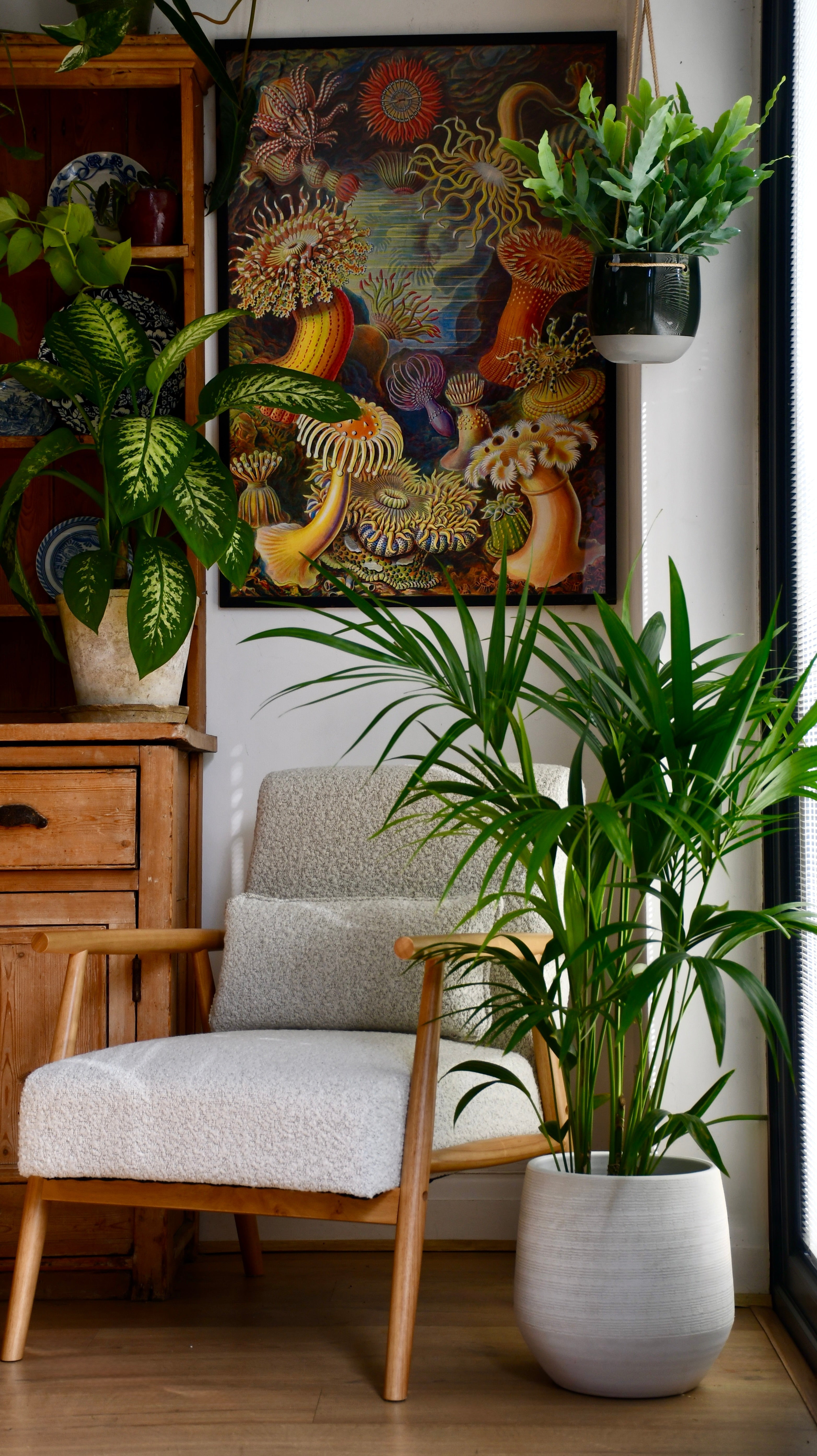 Luxury Plant Gifts  Happy Houseplants