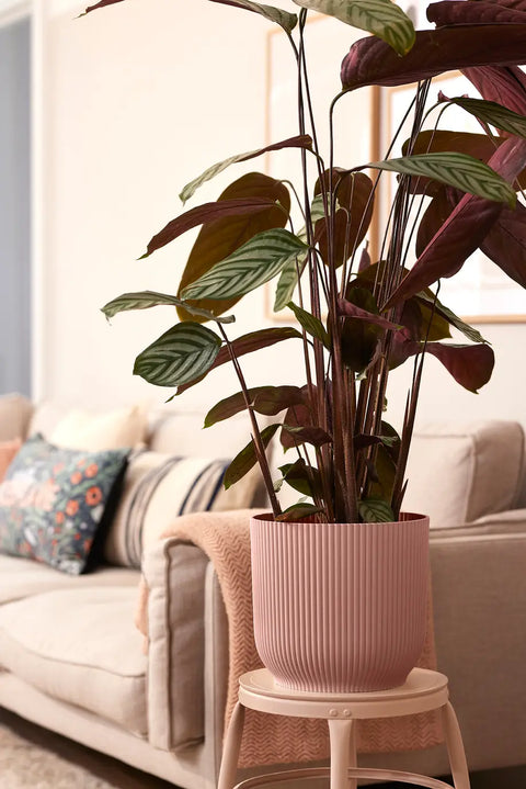 elho Vibes Fold Round 30cm – Soft Pink