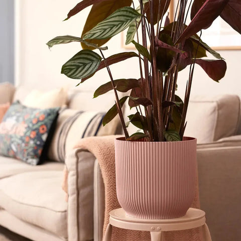 elho Vibes Fold Round 30cm – Soft Pink
