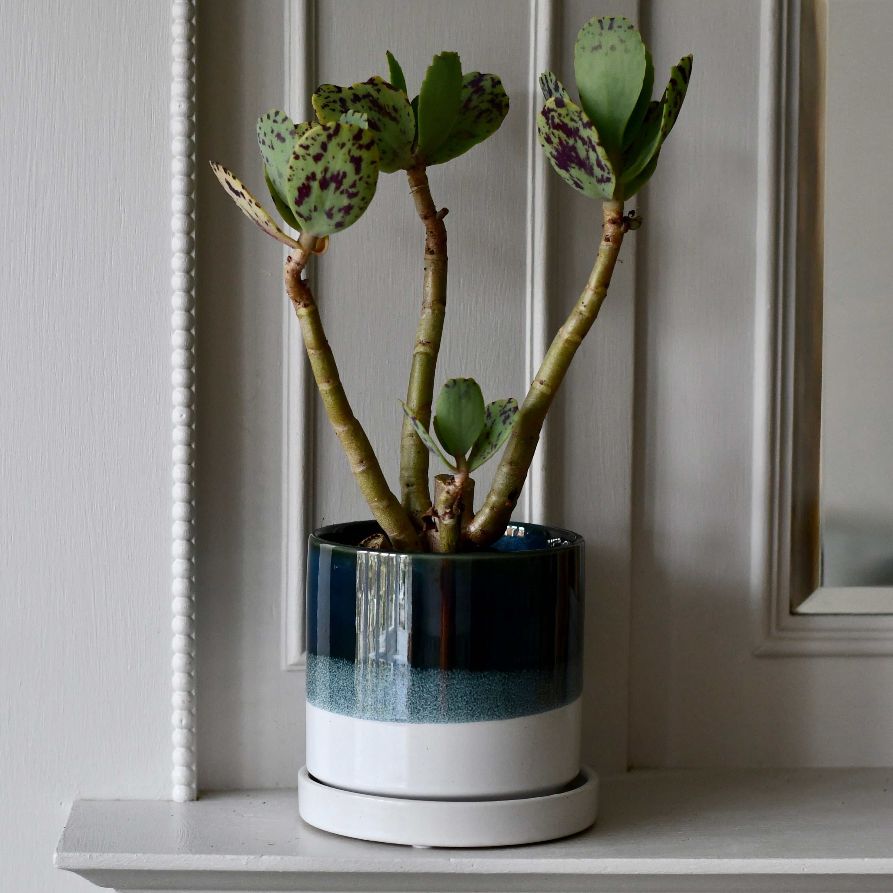 blue plant pots uk Coniston Blue 13cm Porcelain Pot and Saucer Set – Happy Houseplants