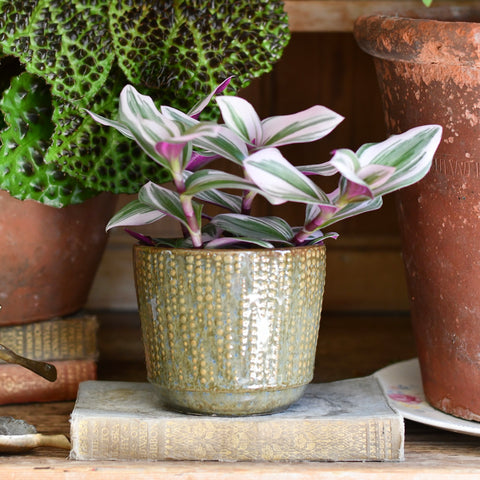 Willow Green Retro Ceramic Pot