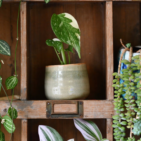 Iris Mint Glazed Pot (D8 H7cm)