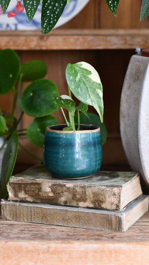 Iris Turquoise Glazed Pot (D8 H7cm)