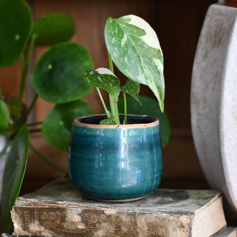 Iris Turquoise Glazed Pot (D8 H7cm)