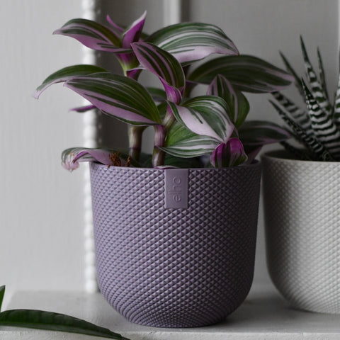 Mini Lavender Lilac Indoor Plant Pot – 9cm Round Recycled Plastic Planter