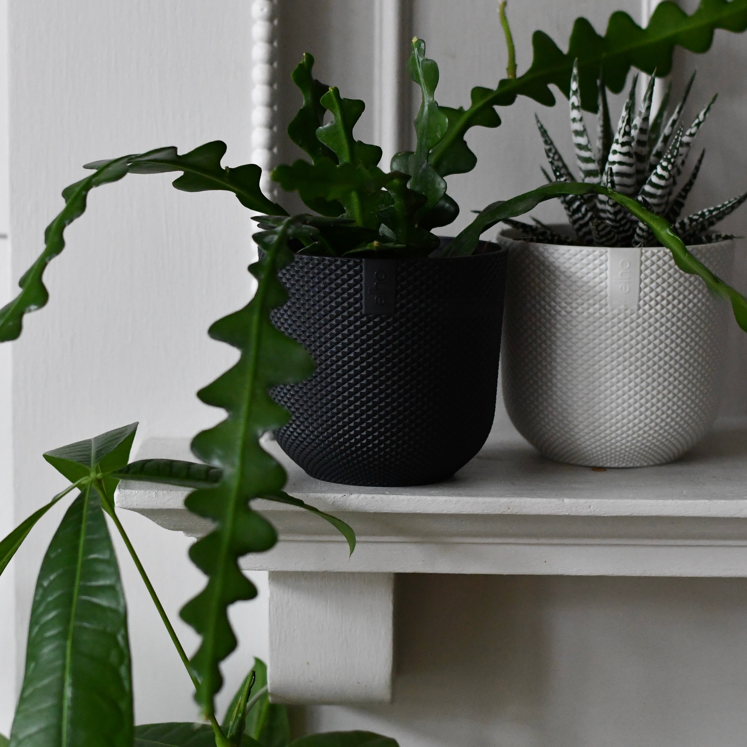 small black plant pots indoor Mini Living Black Indoor Plant Pot – 9cm Recycled Plastic Planter – Happy Houseplants
