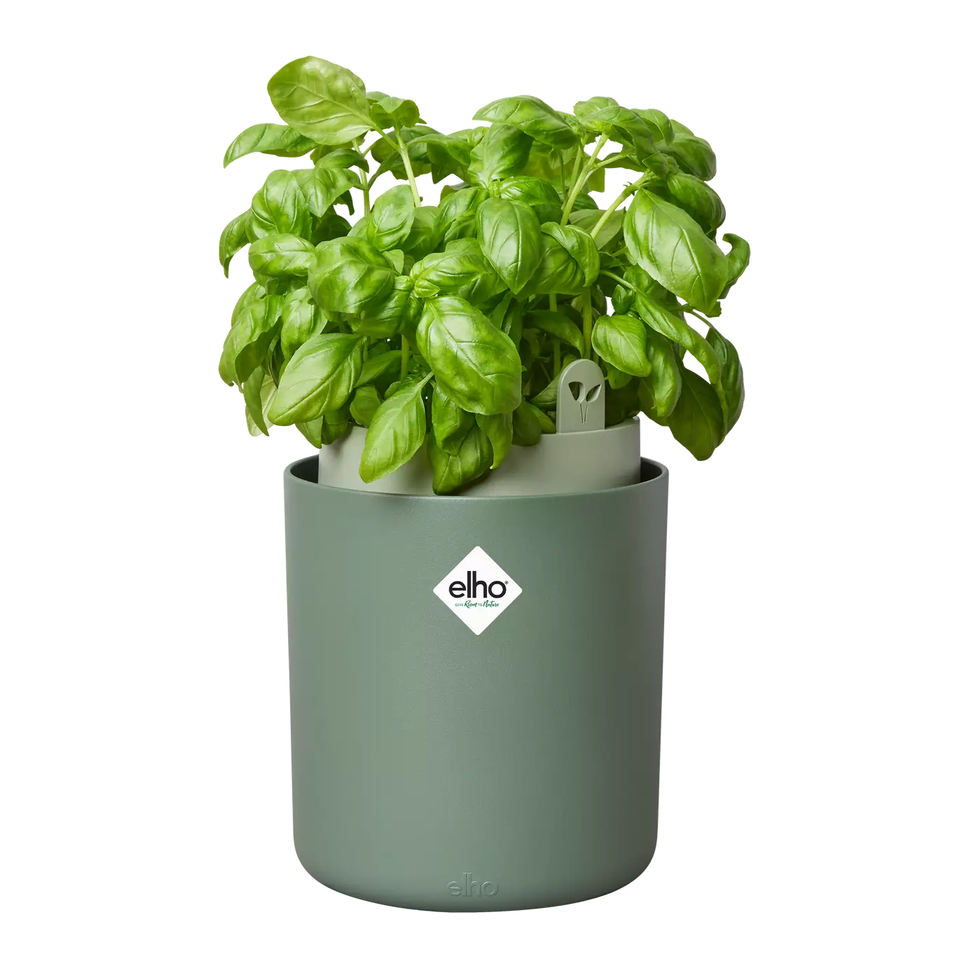 Bouncy Basil Grow Pot Leaf Green 17cm Happy Houseplants