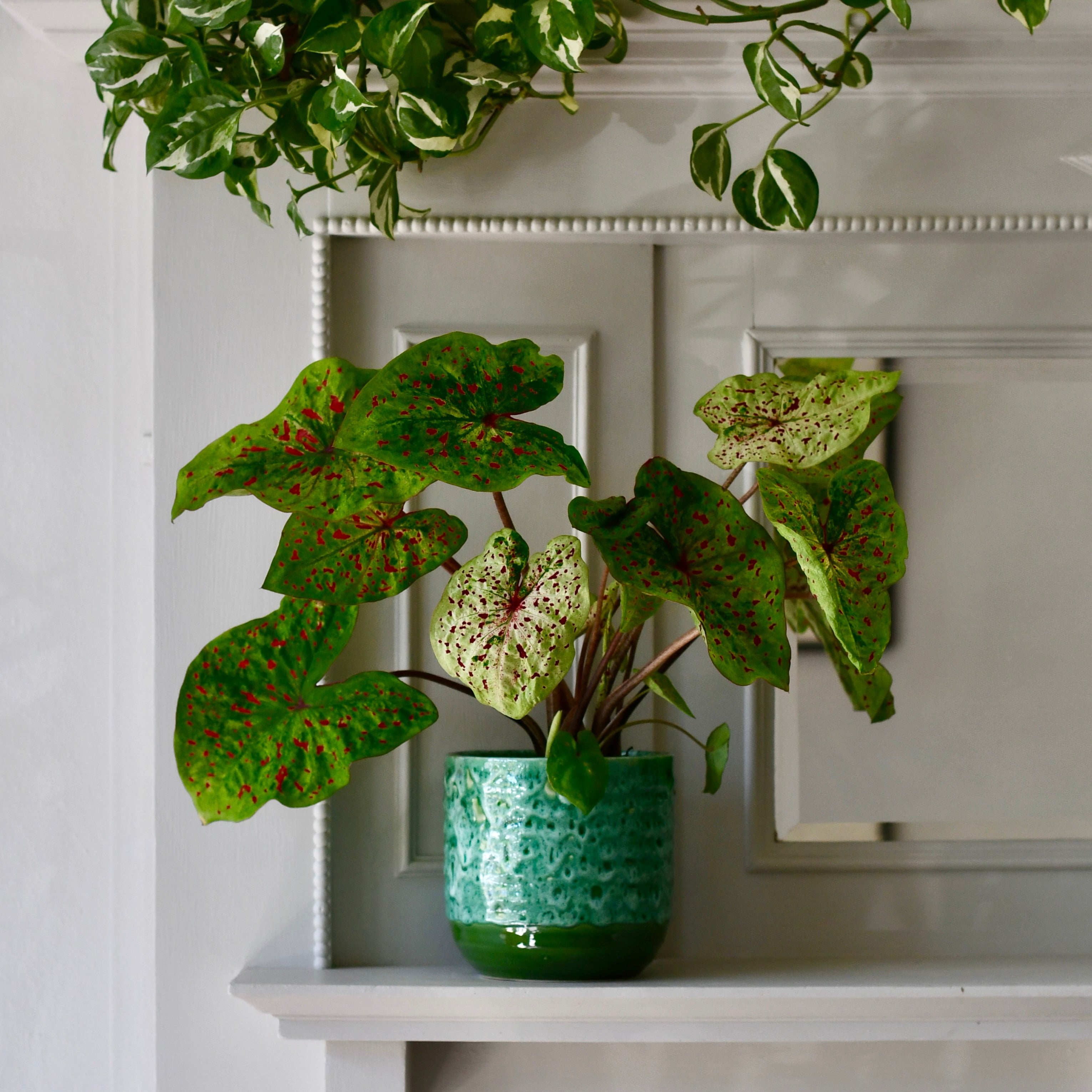 Reactive Glaze Planter (Emerald 13cm Plant Pot) Happy Houseplants