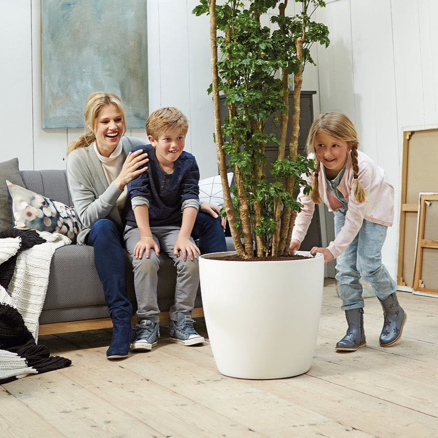extra large indoor plant pots uk Brussels Round Plant Pot 35cm