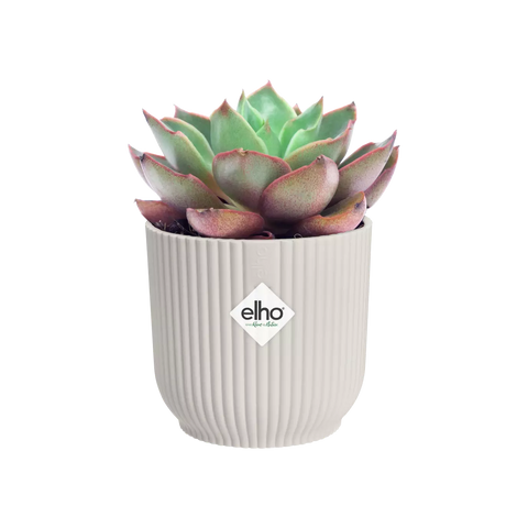 Silky White Vibes Round Mini Plant Pot 7cm