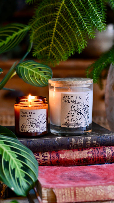 The Perfect Duo: Our Candles and Houseplants Make Stylish Gifts