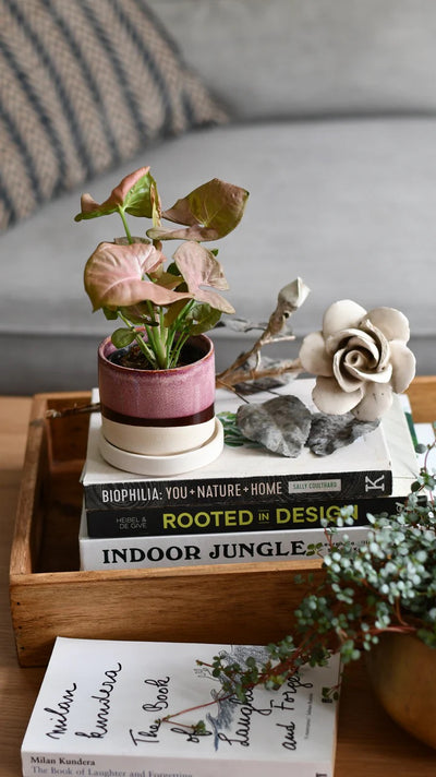 Discover the Delight of Tiny Pottery