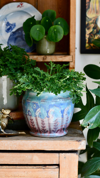 Cottage Calm: Houseplants for a Softer, Slower Style