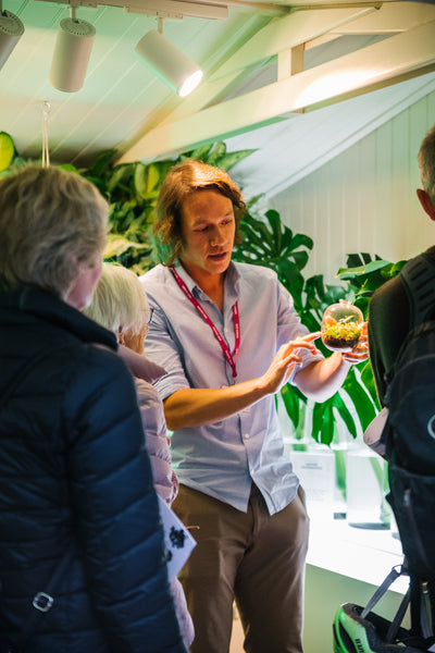 Our Houseplant Studio at the RHS Chelsea Flower Show