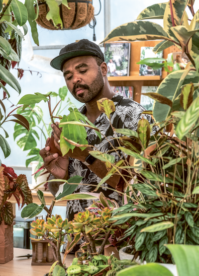 HOUSEPLANT CHRONICLES: WISDOM FROM HOUSEPLANT EXPERT HILTON CARTER