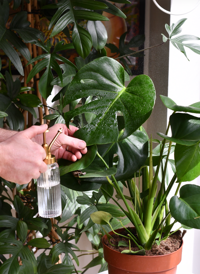 philodendron silk Artificial Silk Split Philodendron Tree – Just Artificial main image 1