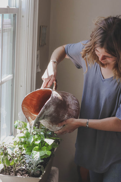 How to Help Your Houseplants Survive the Heat