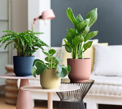 The Elho Vibes Pot is a 100% recycled, sleek and stylish plant pot!