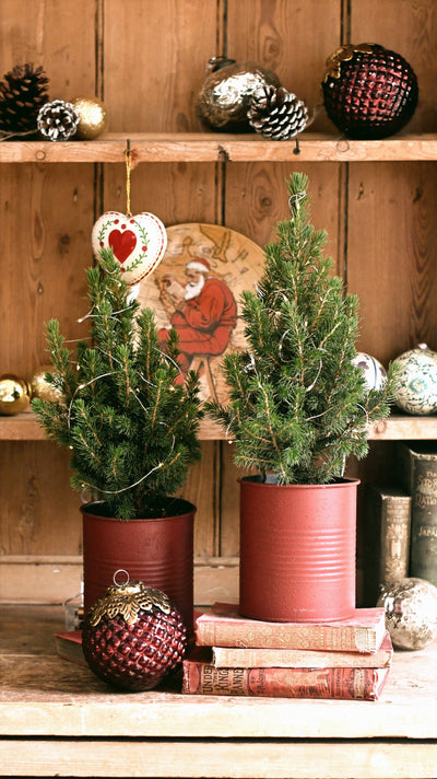 Happy Christmas 2025