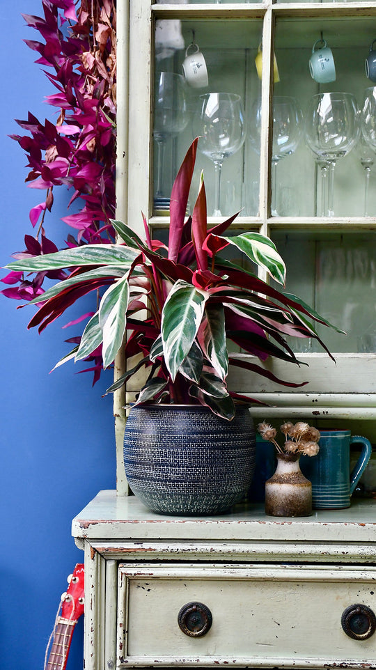 fuchsia bougainvillea plant Los Angeles Wholesaler | 31'' Bougainvillea Hanging Bush ( INT1064-Fuchsia  )- International Silk Flowers main image 1
