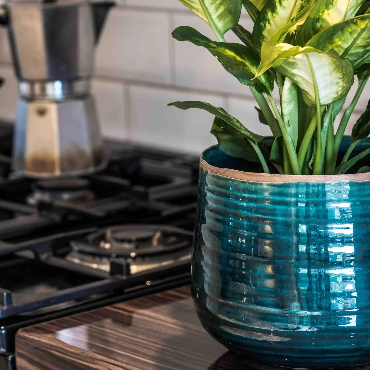 turquoise indoor plant pot Como Turquoise premium Glaze planter (26cm plant pot) – Happy Houseplants