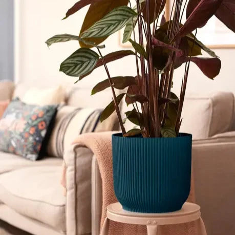 Vibes Round wheels Plant Pot 35cm (large Indoor Plant Pots)