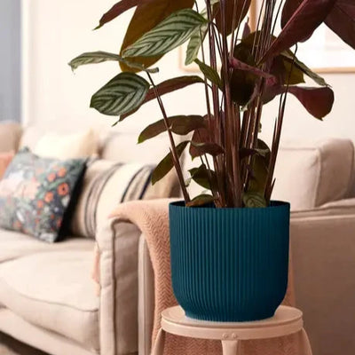 Vibes Round wheels Plant Pot 35cm (large Indoor Plant Pots)