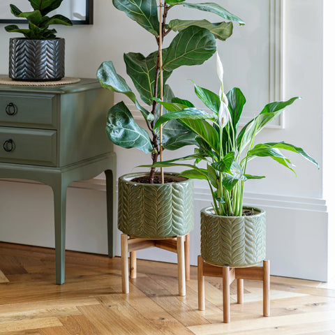 Aspen Green Chevron Ceramic Plant Pot - 18cm