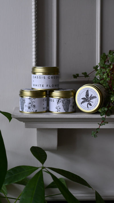 Cassis, Green Leaves & White Flowers Candle – 70g Gold Tin