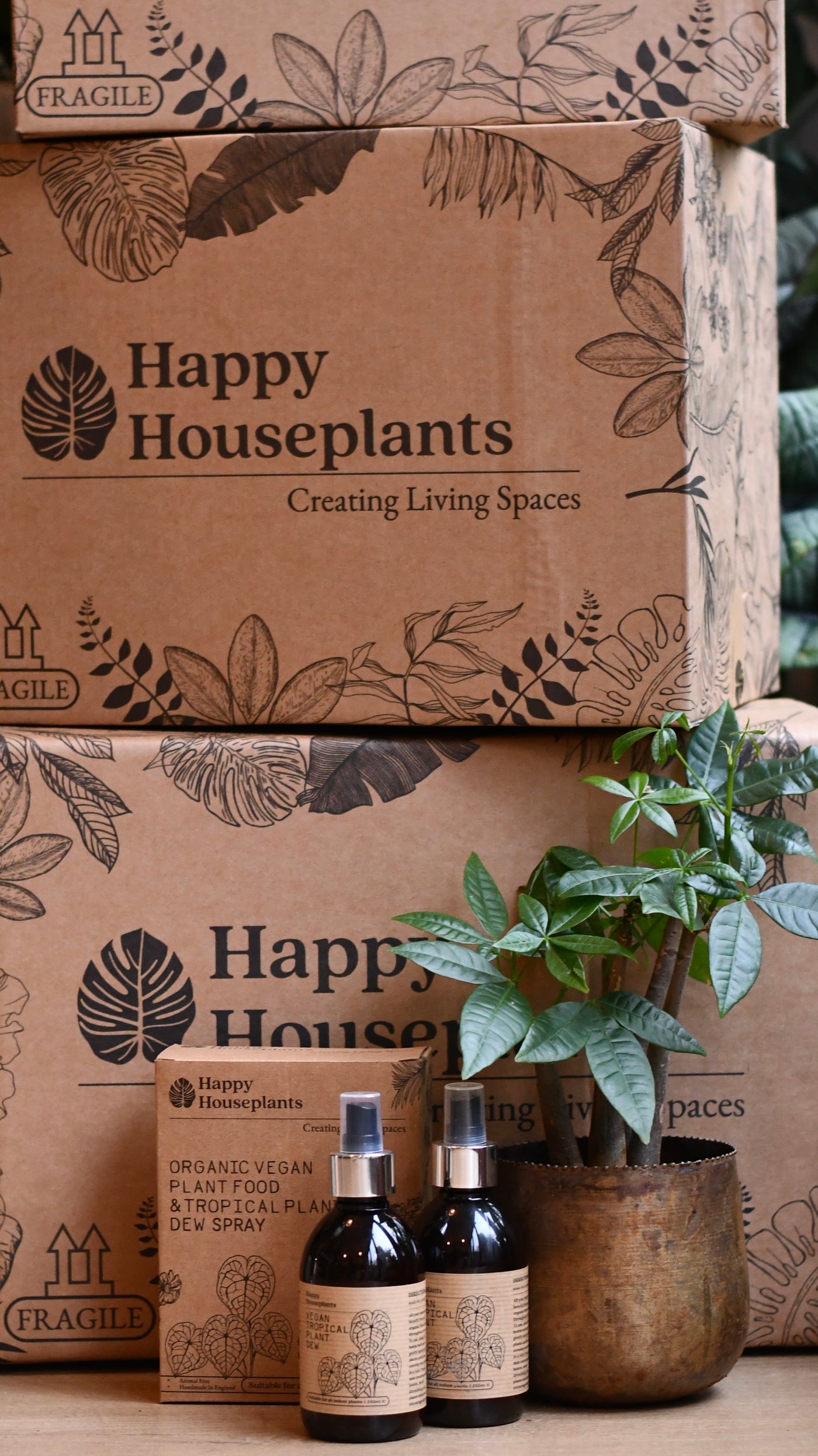 Mother’s Day Gift – Maranta in Vibes Pot with Botanical Candle