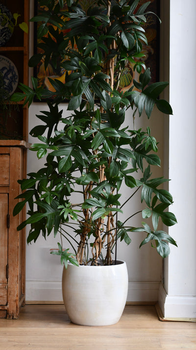 Lester Pot Round Grey (30cm)