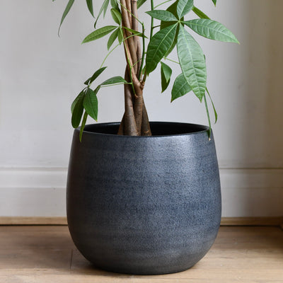 The Graphite Curve Pot 25cm Plant Pot