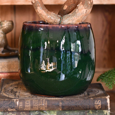 Charlotte Dark Green Ceramic Plant Pot D15 x H13cm