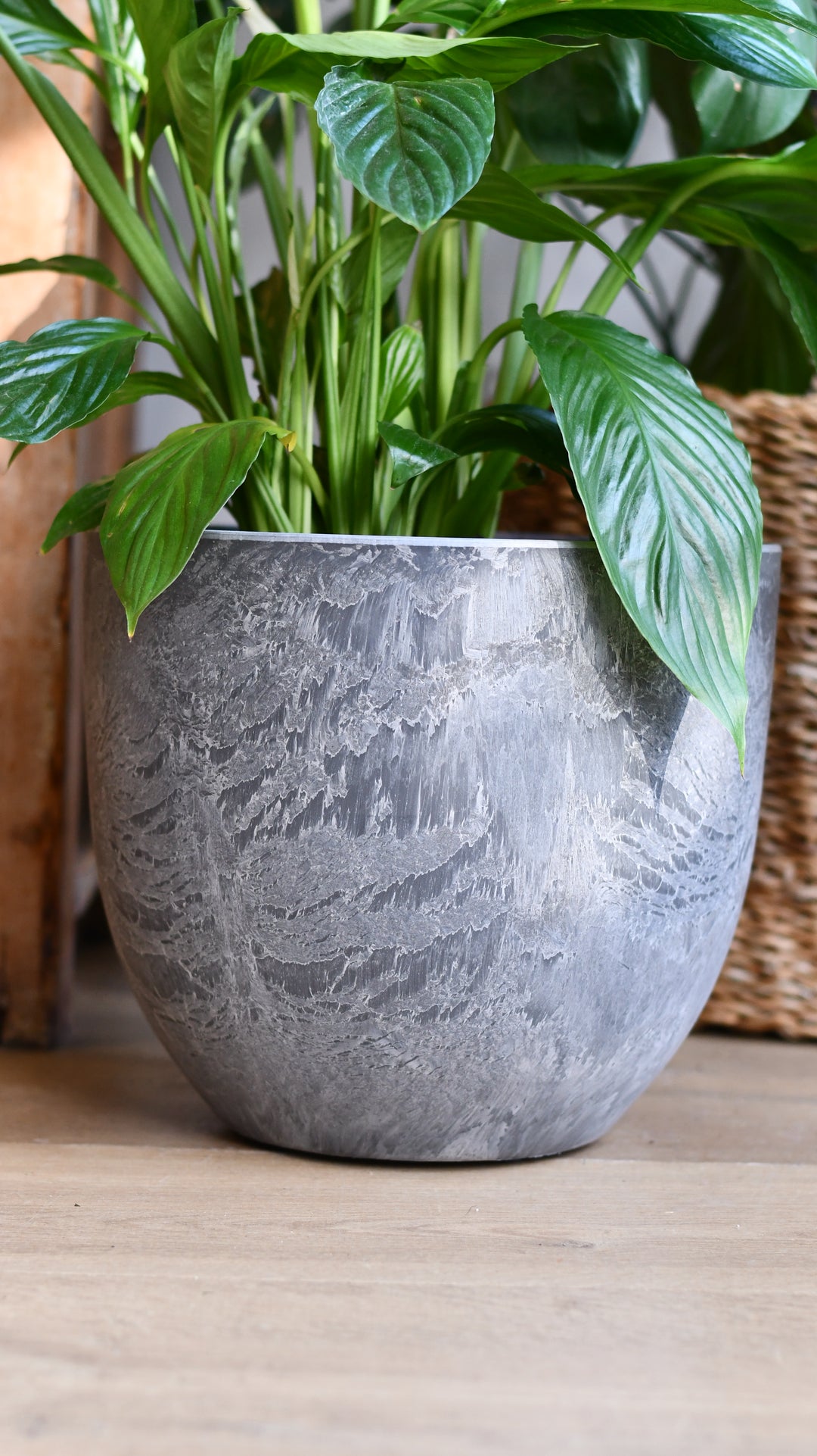 grey plant pots indoor Artstone Bola Grey pot 28cm | Happy Houseplants