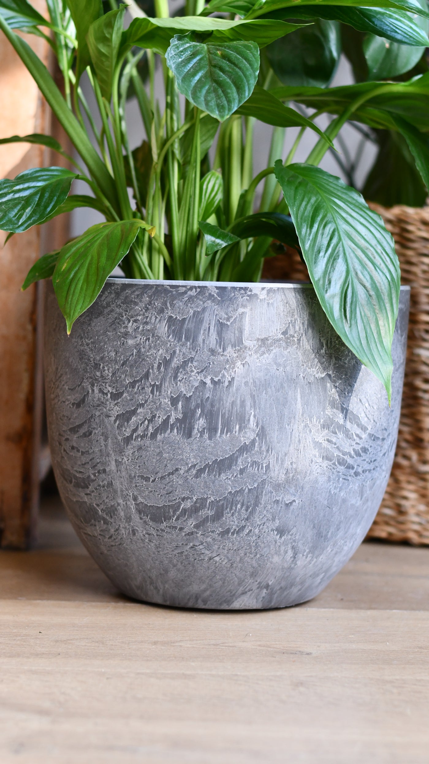 large grey plant pots indoor Artstone Bola Grey pot 28cm | Happy Houseplants