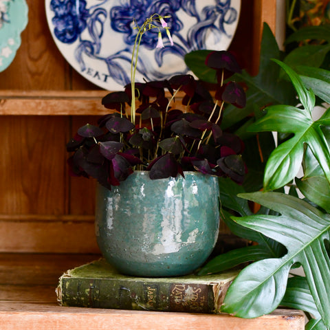 Turquoise Green D14 x H14cm