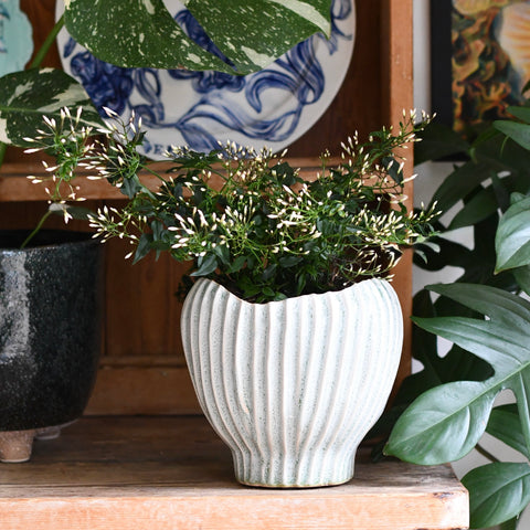 Isa Ice Blue Pot – Textured Ceramic Plant Pot (18 x 17cm)