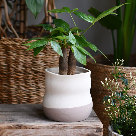 Sora Sand Pot – Ceramic Plant Pot (10 x 10cm)