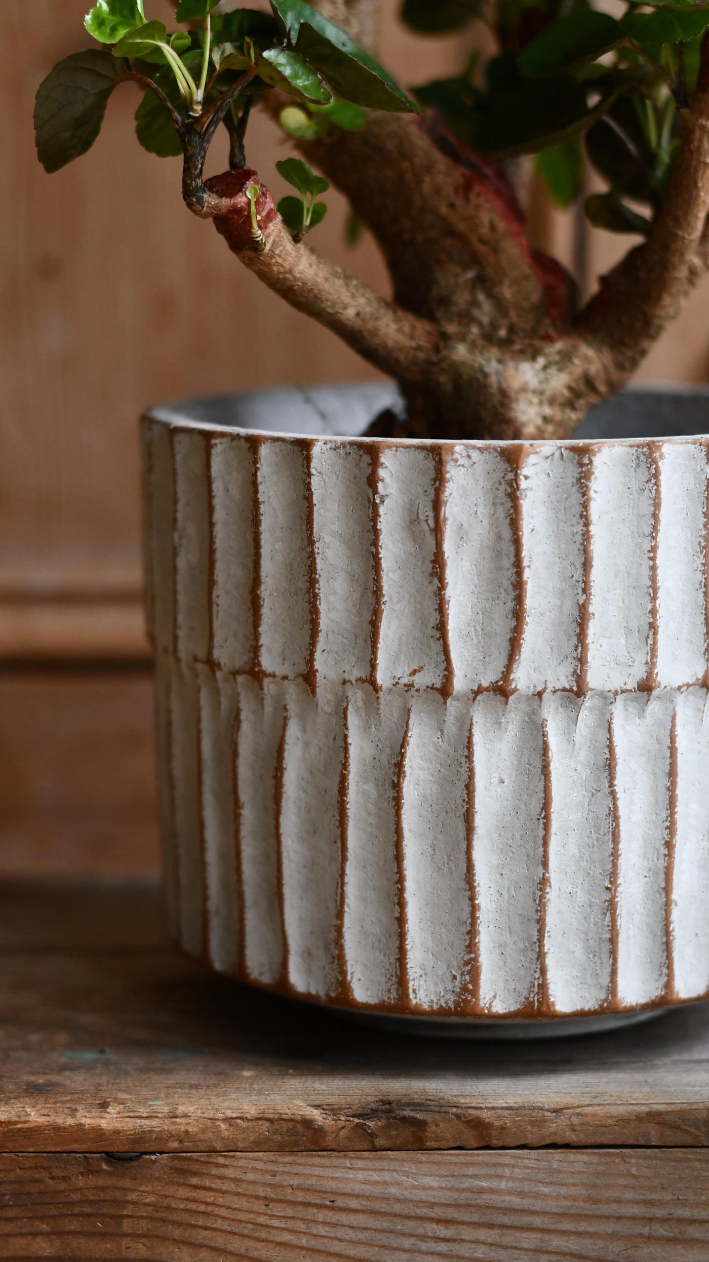 22cm plant pots Apiro Pot – Textured Ceramic Plant Pot 22cm – Happy Houseplants