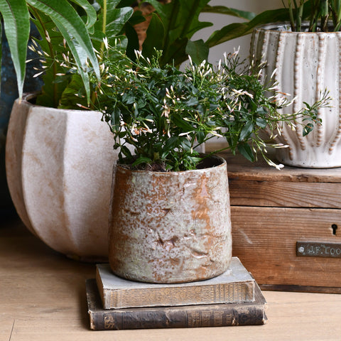 Masha Earth Textured Ceramic Plant Pot D15 x H13cm