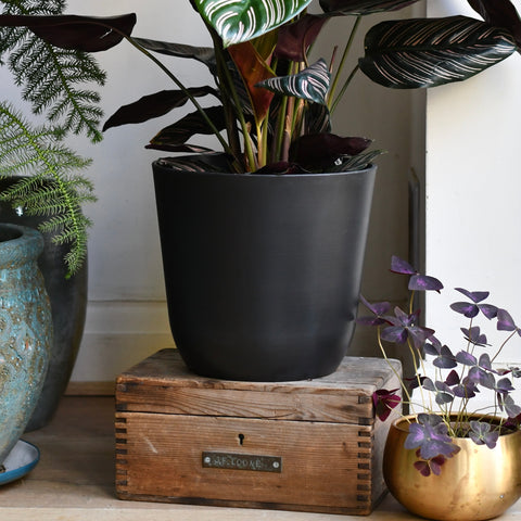 Palermo black 25cm Plant Pot