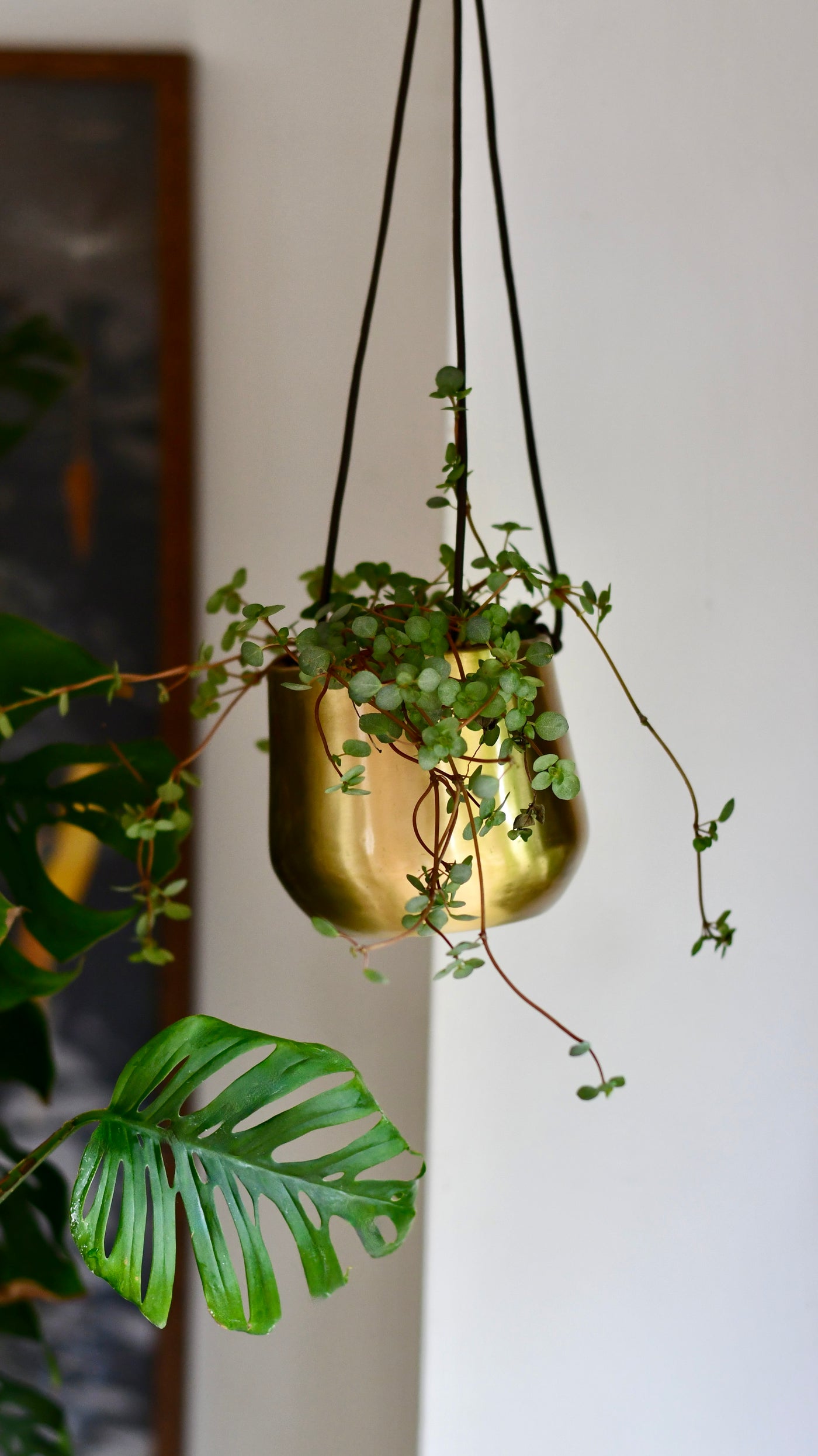 Atsu Brass Hanging Planter 10cm wide