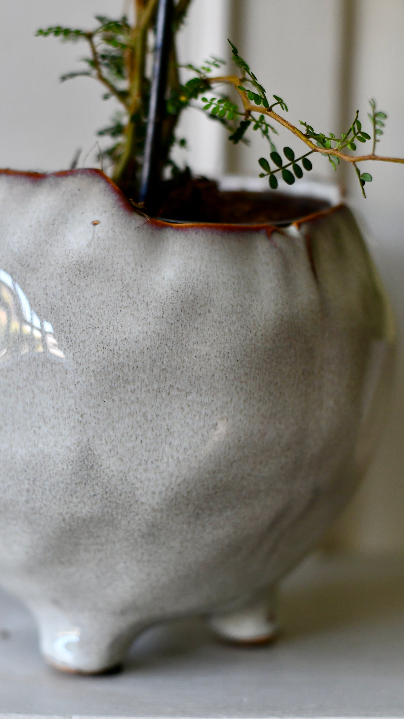 Japandi Ceramic Glaze Indoor Plant Pot (10cm pot)