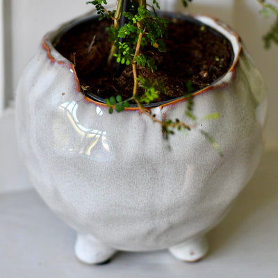 Japandi Ceramic Glaze Indoor Plant Pot (10cm pot)