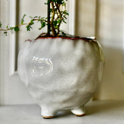 Japandi Ceramic Glaze Indoor Plant Pot (10cm pot)