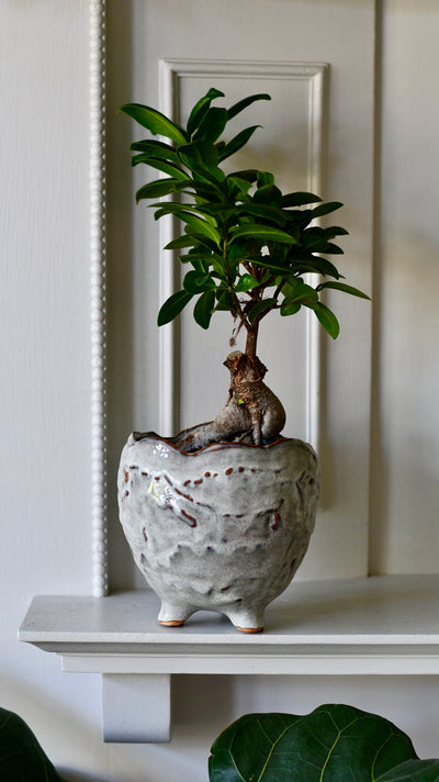 Japandi textured Ceramic Glaze Indoor Plant Pot (10cm pot)