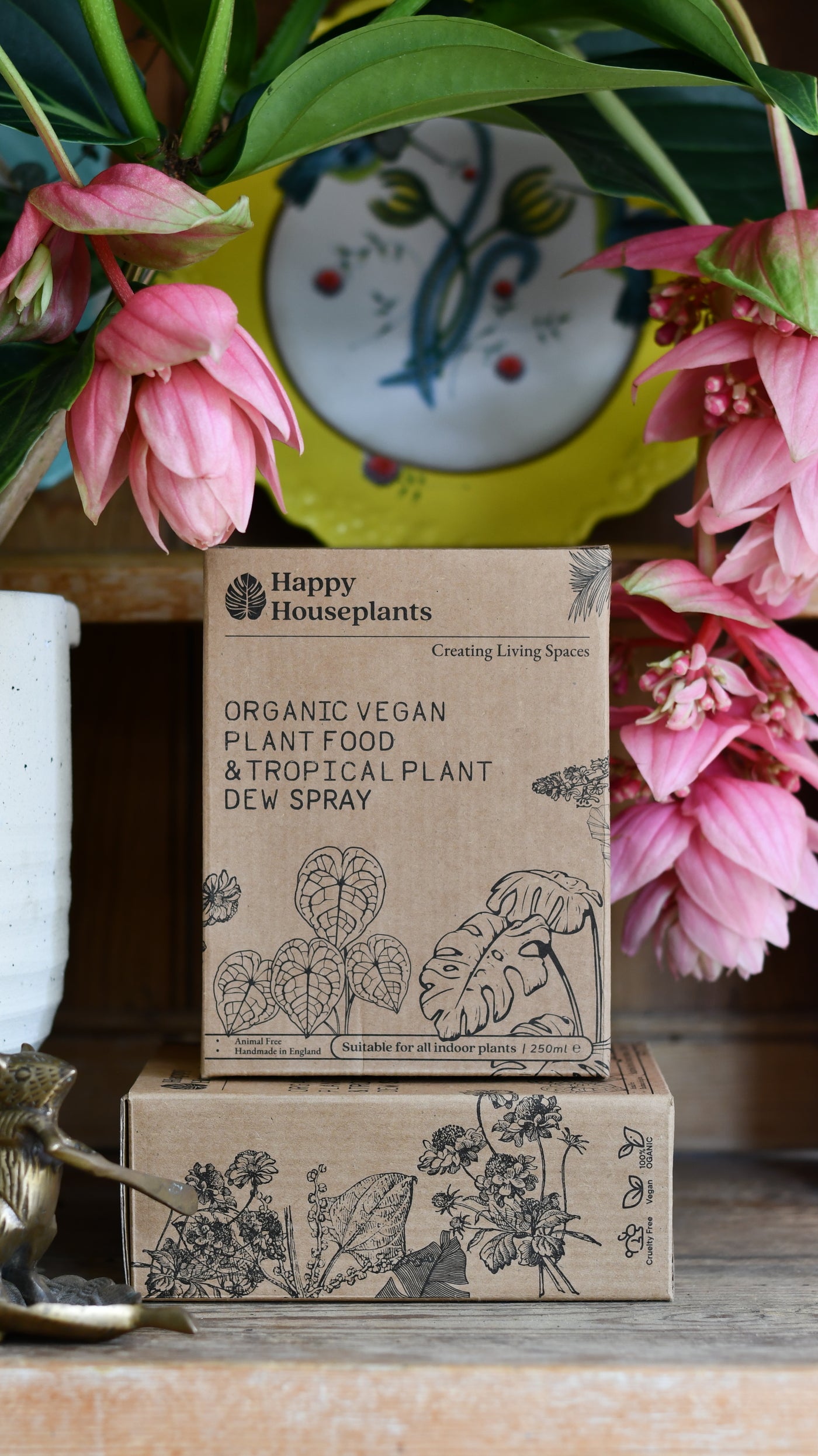 Plant Food & Tropical Dew Spray Gift Set