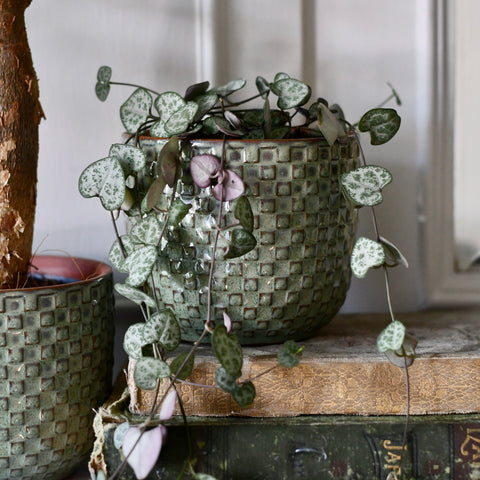 Kyoto Green Ceramic Plant Pot