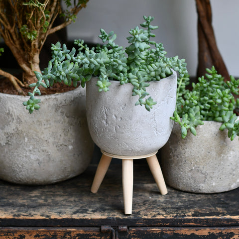 Nordic Cement Plant Pot with Wooden Stand
